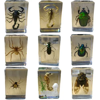 27 Çeşit El Gutta Perka Reçine Böcek Şeffaf Sarı Böcekler Ev Dekorasyonu Küçük Süs Yaptı 
