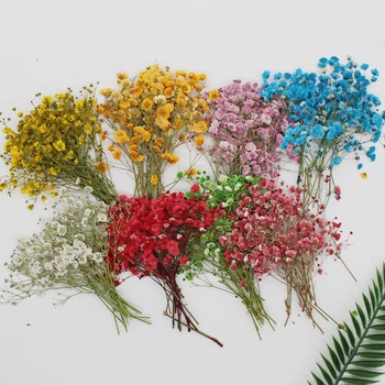 60 Adet Doğal Gypsophila Kurutulmuş Çiçekler Küçük buket çiçekler Kuru Çiçekler Basın Mini Dekoratif Fotoğraf Arka Plan Dekor
